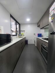 RiverParc Residence (D19), Condominium #561482061